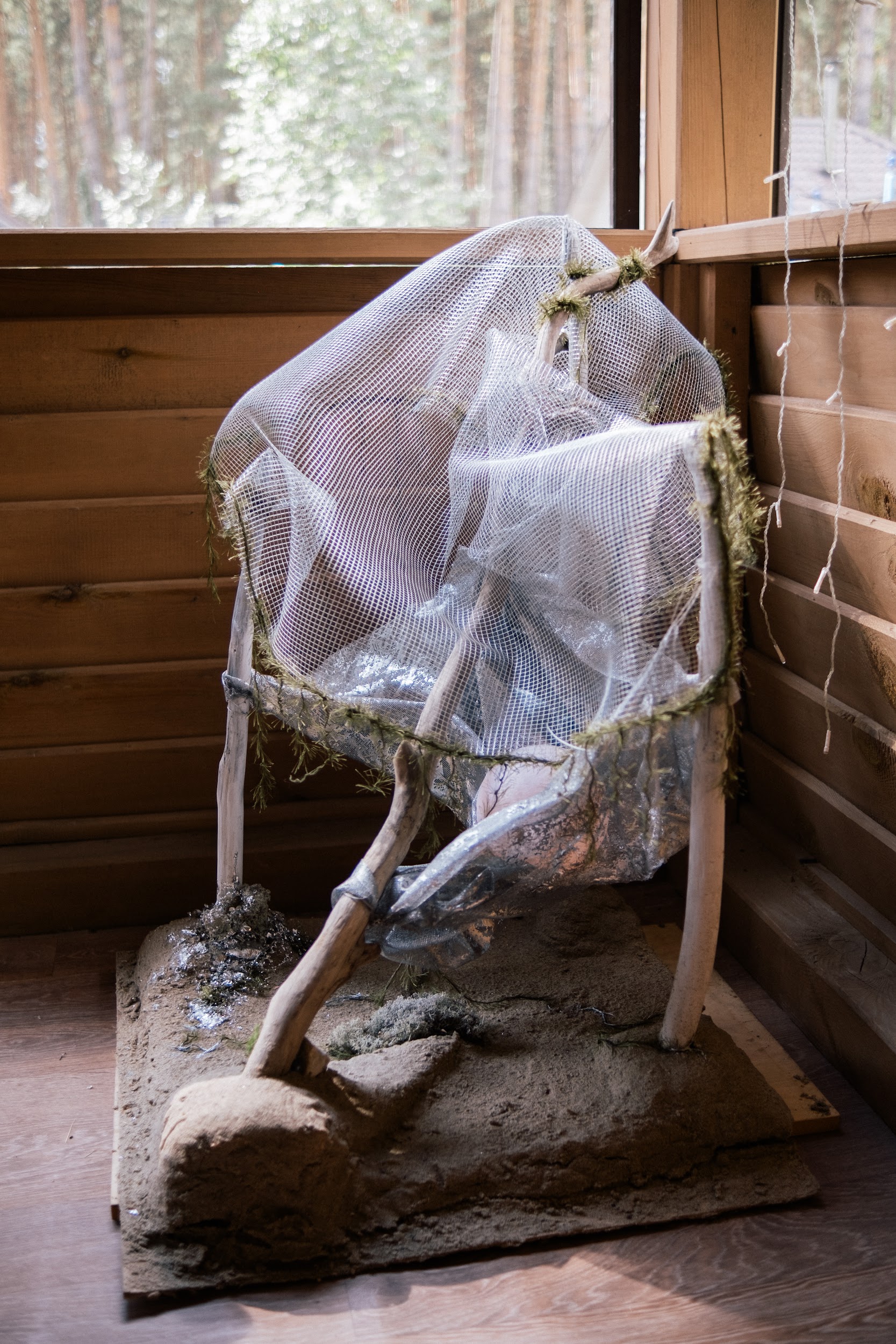 Фотография выставки «Один год. Спирино»