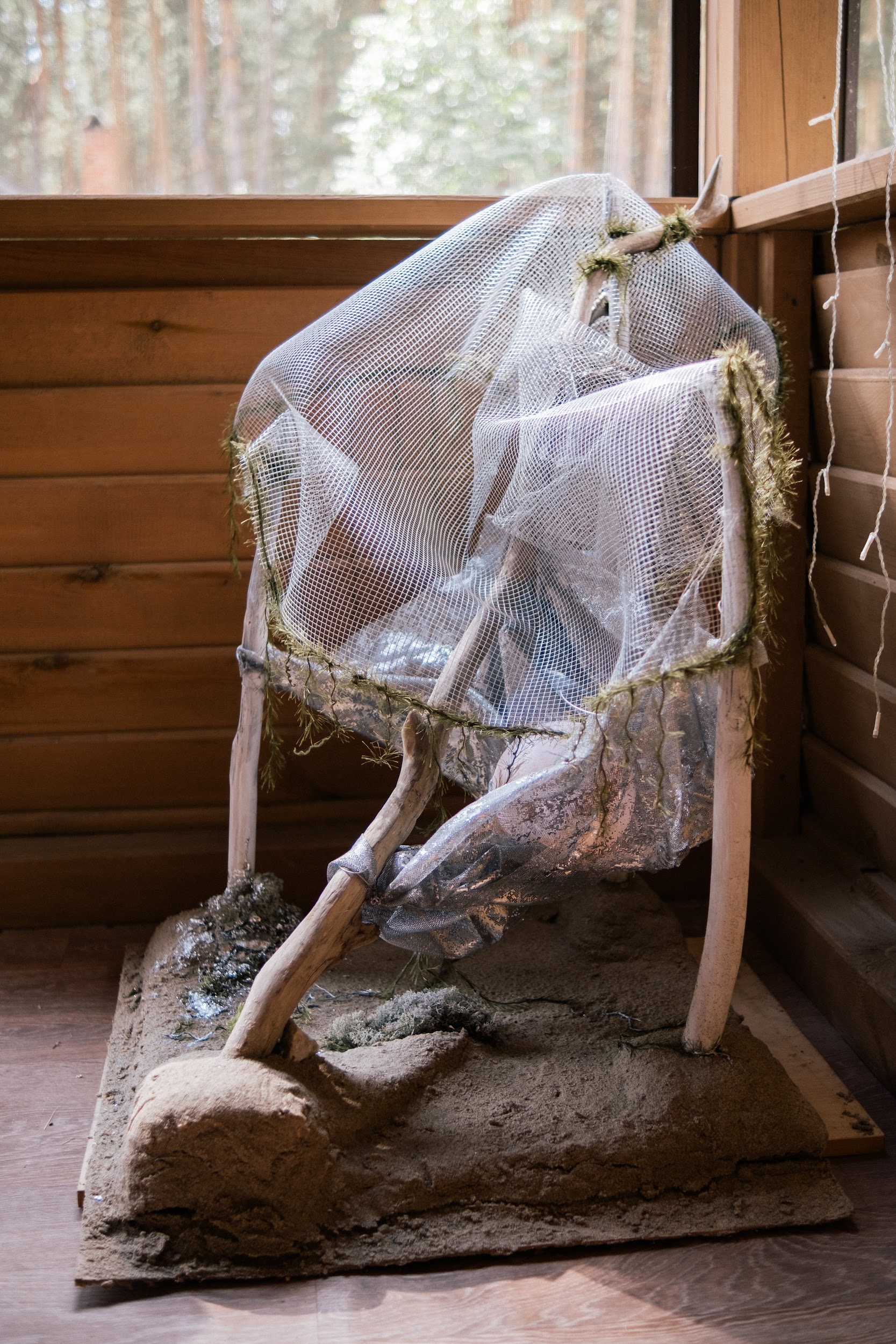 Фотография выставки «Один год. Спирино»