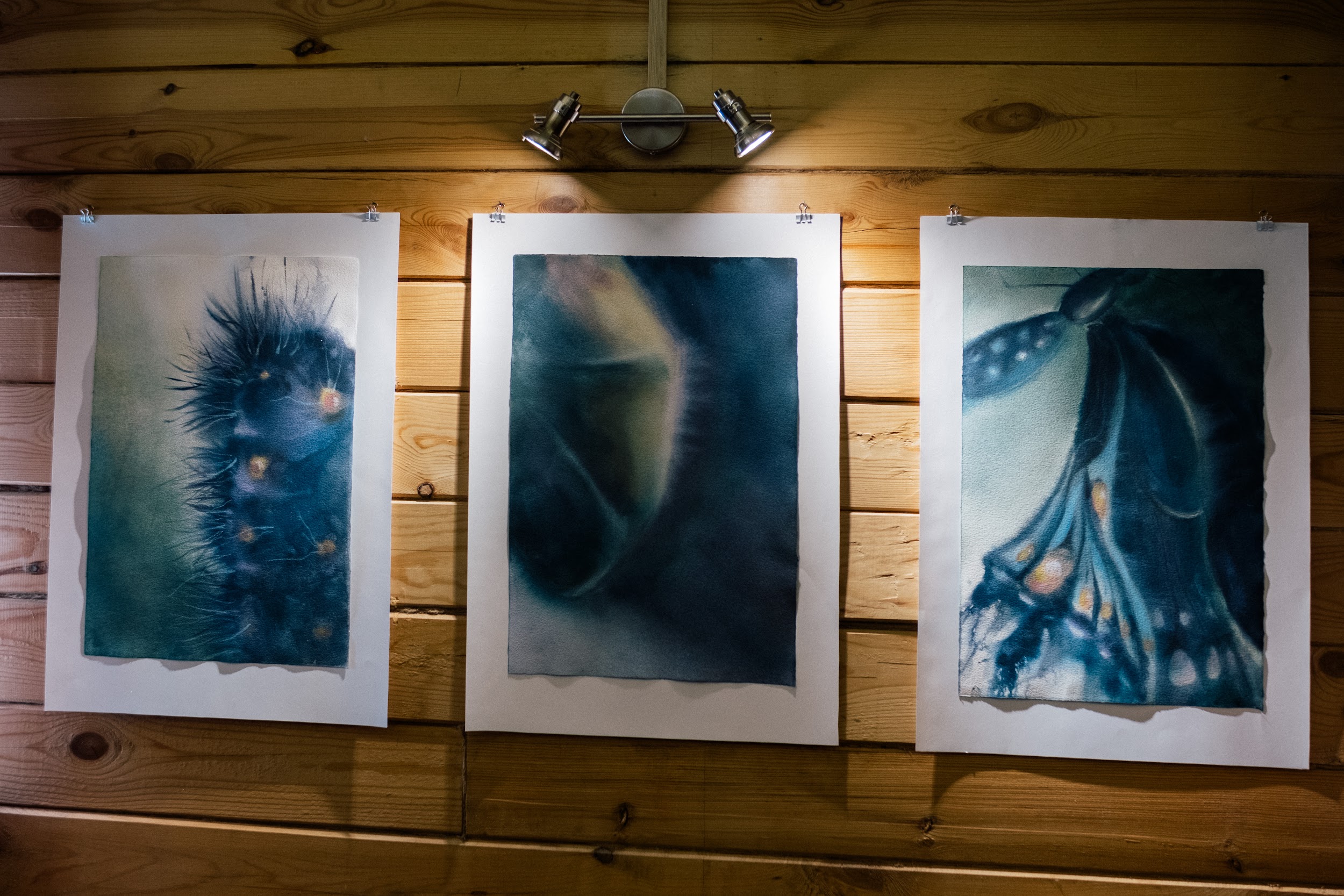 Фотография выставки «Один год. Спирино»