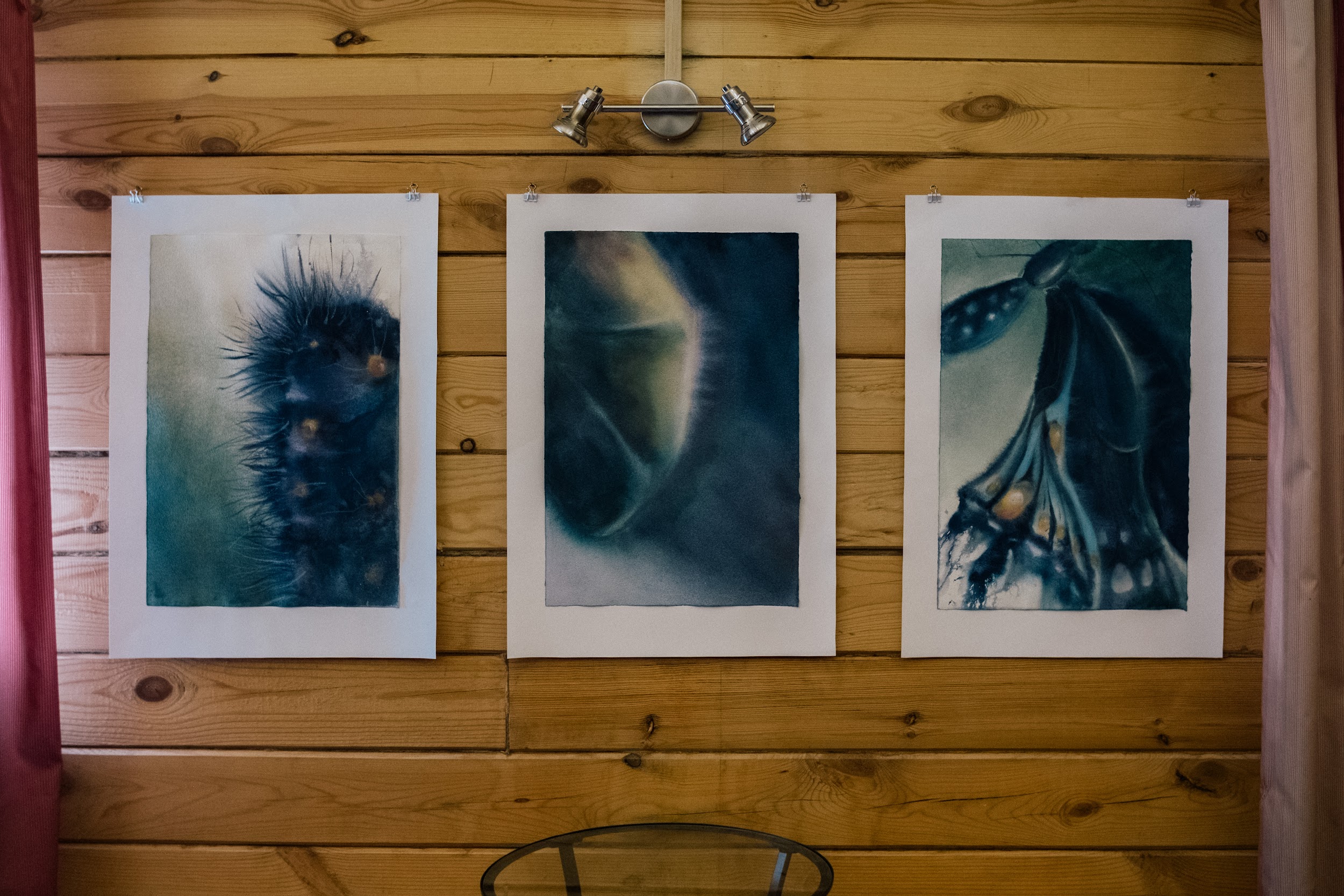 Фотография выставки «Один год. Спирино»