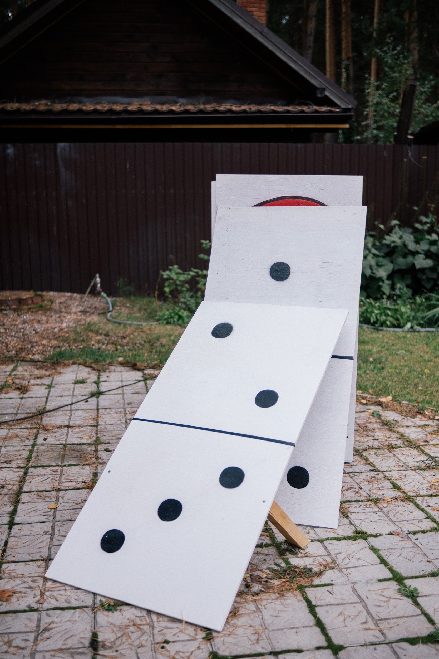 Принцип домино, вид 3